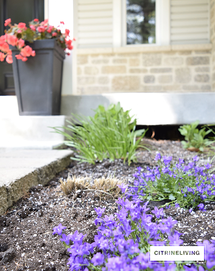 CITRINELIVING SUMMER FLOWERS FOR THE FRONT PORCH