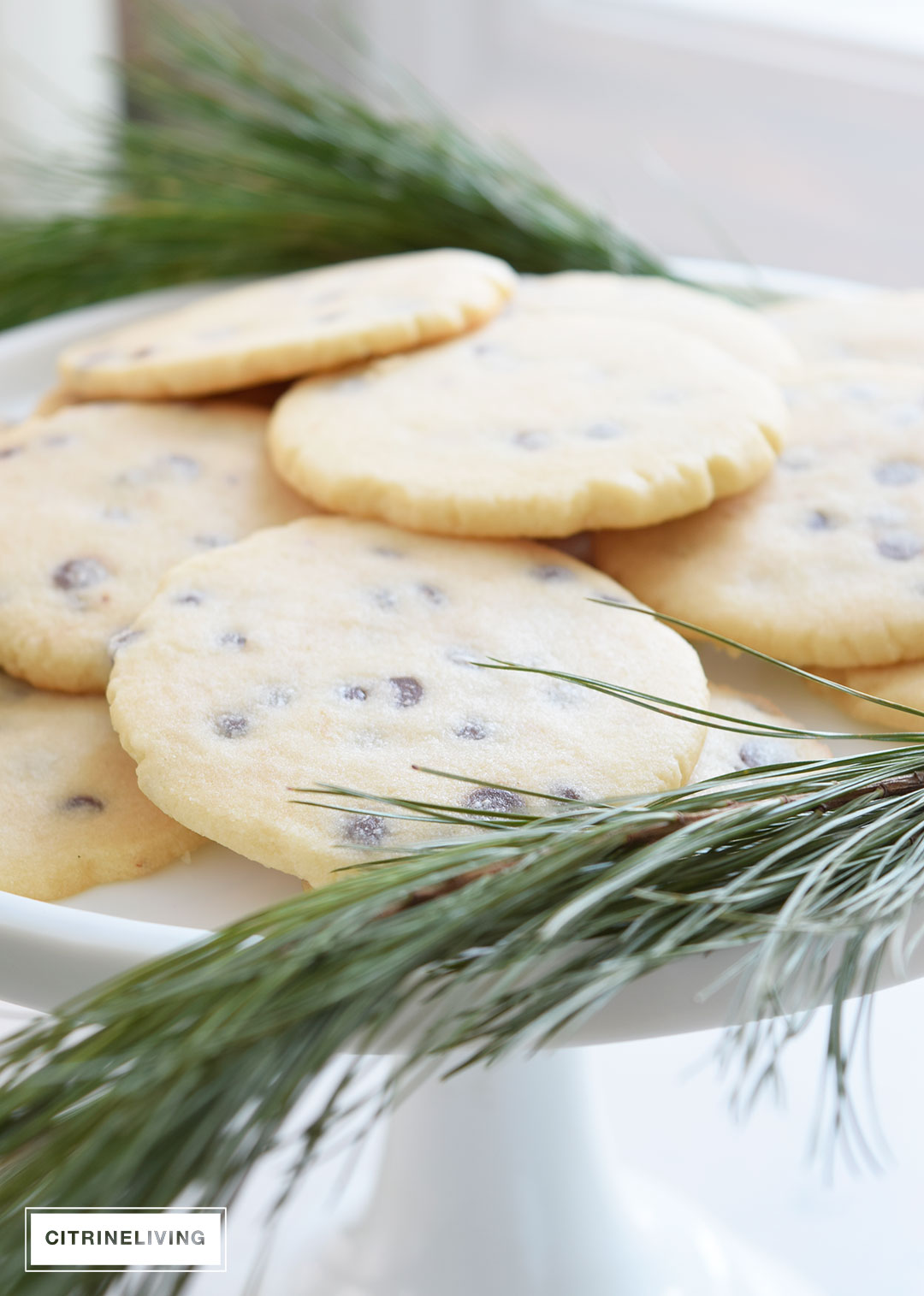 christmas-shortbread-cookie-recipe10