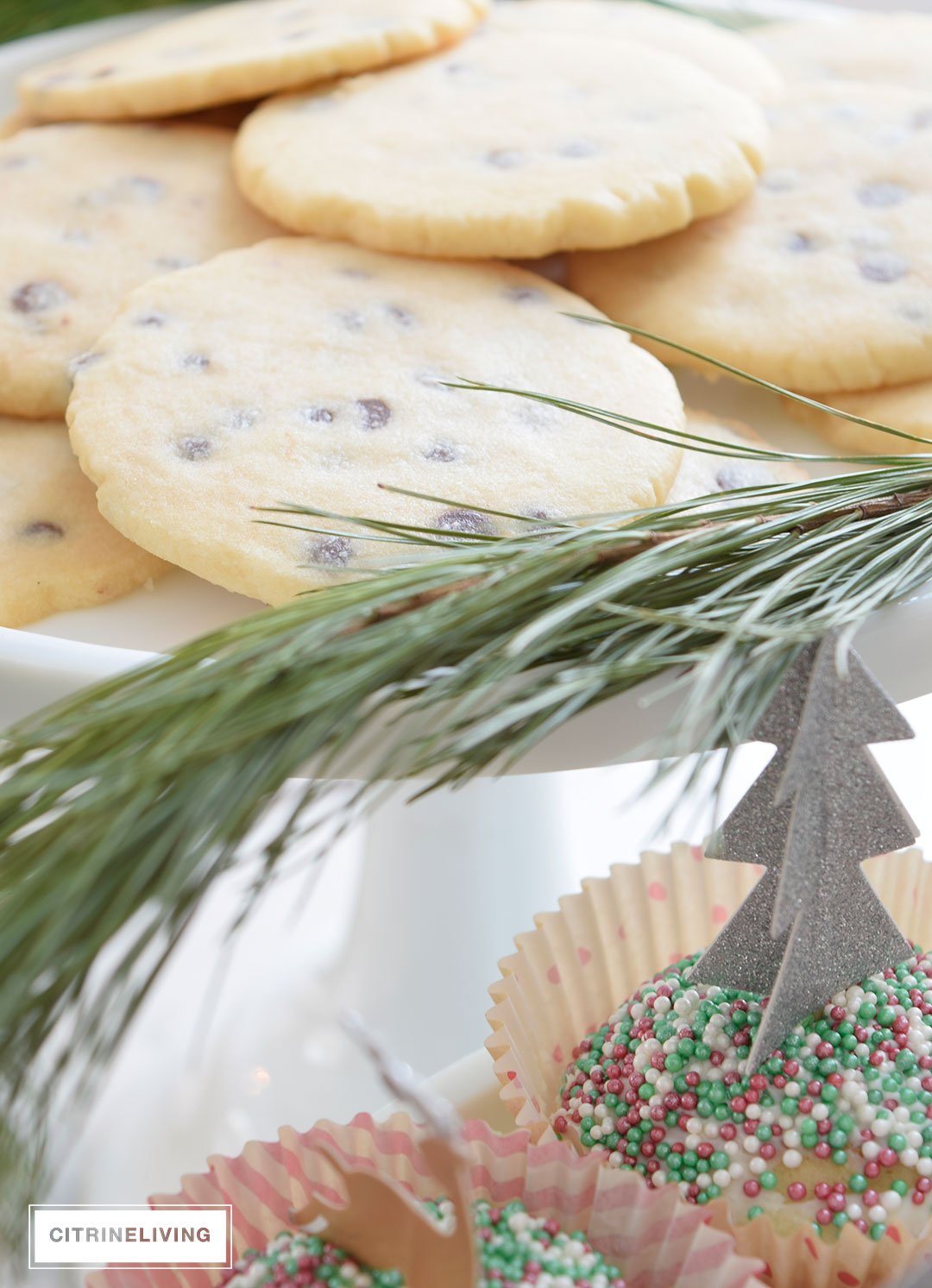 christmas-shortbread-cookie-recipe11