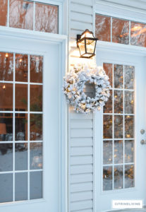 OUTDOOR CHRISTMAS DECOR + NEW LIGHTING - CITRINELIVING