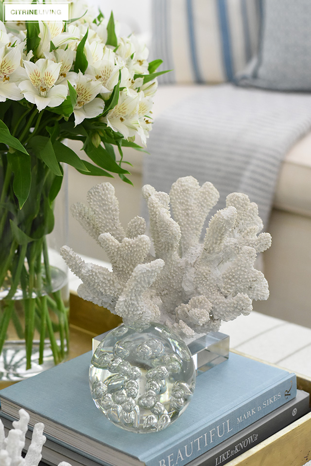Coral sculptures, design books and glass accessories create a soft and elegant display on your coffee table or ottoman.