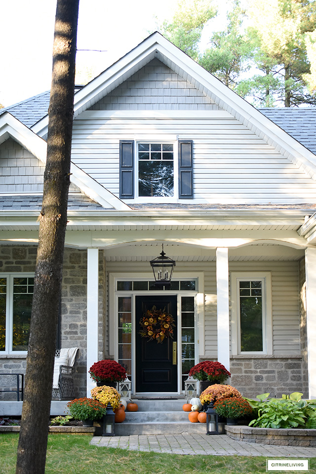 Create a beautiful fall front porch to welcome your guests with lush, vibrant mums and scattered pumpkins to celebrate the season!