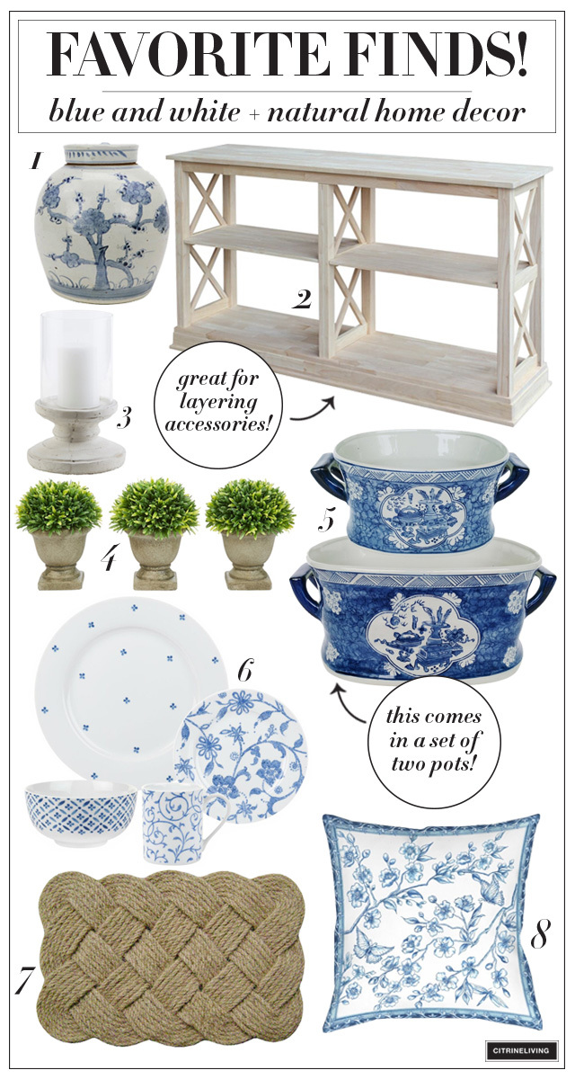 Blue and white home decor finds