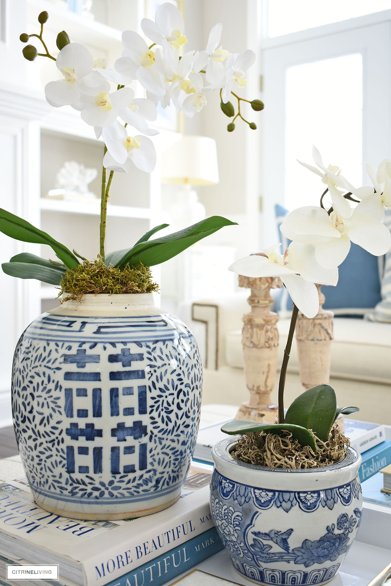 Orchid arrangements in blue and white planters.