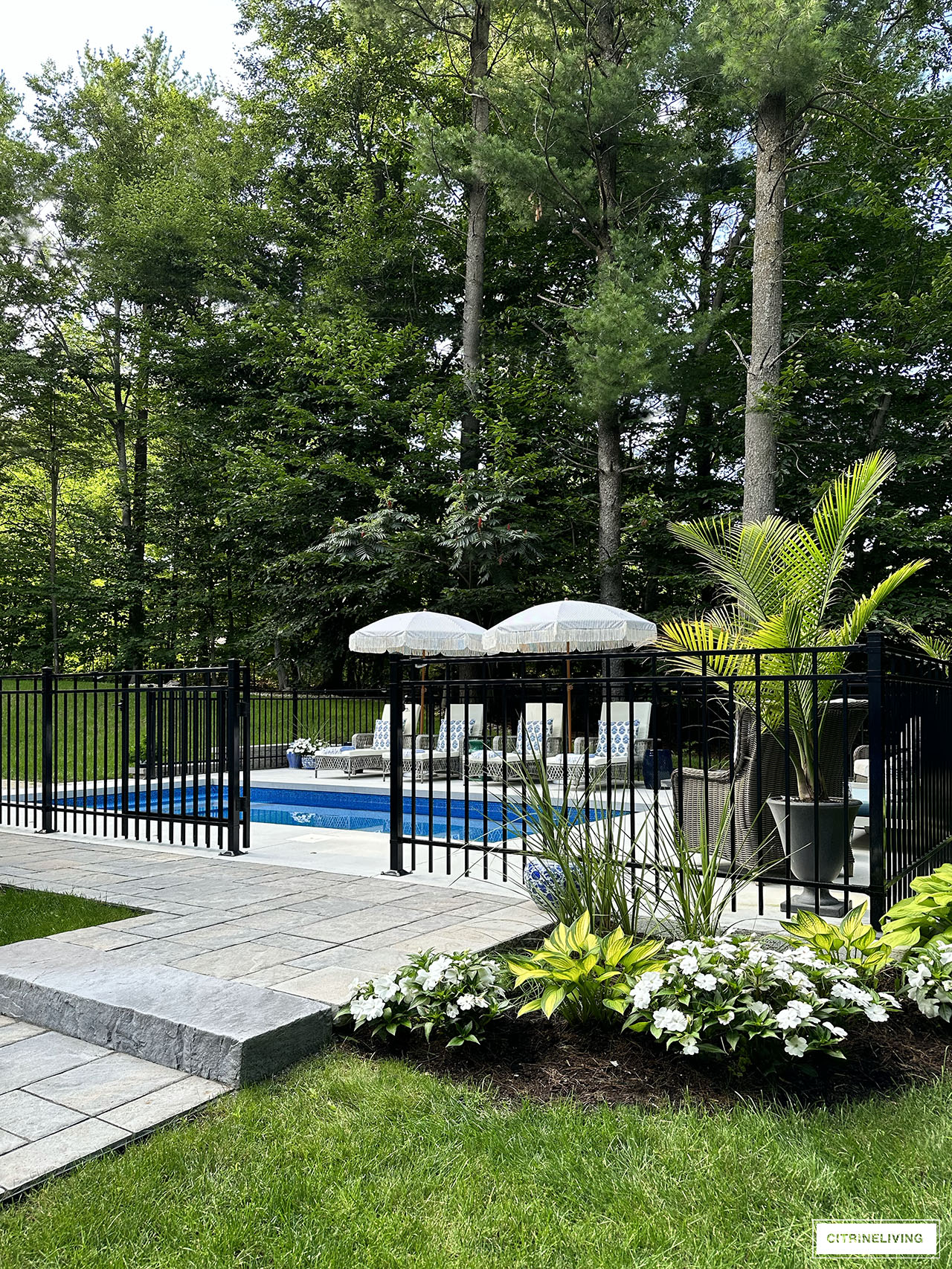 Resort style backyard with in ground pool, loungers, fringe umbrellas. Black iron fence surrounding a cement pool deck.