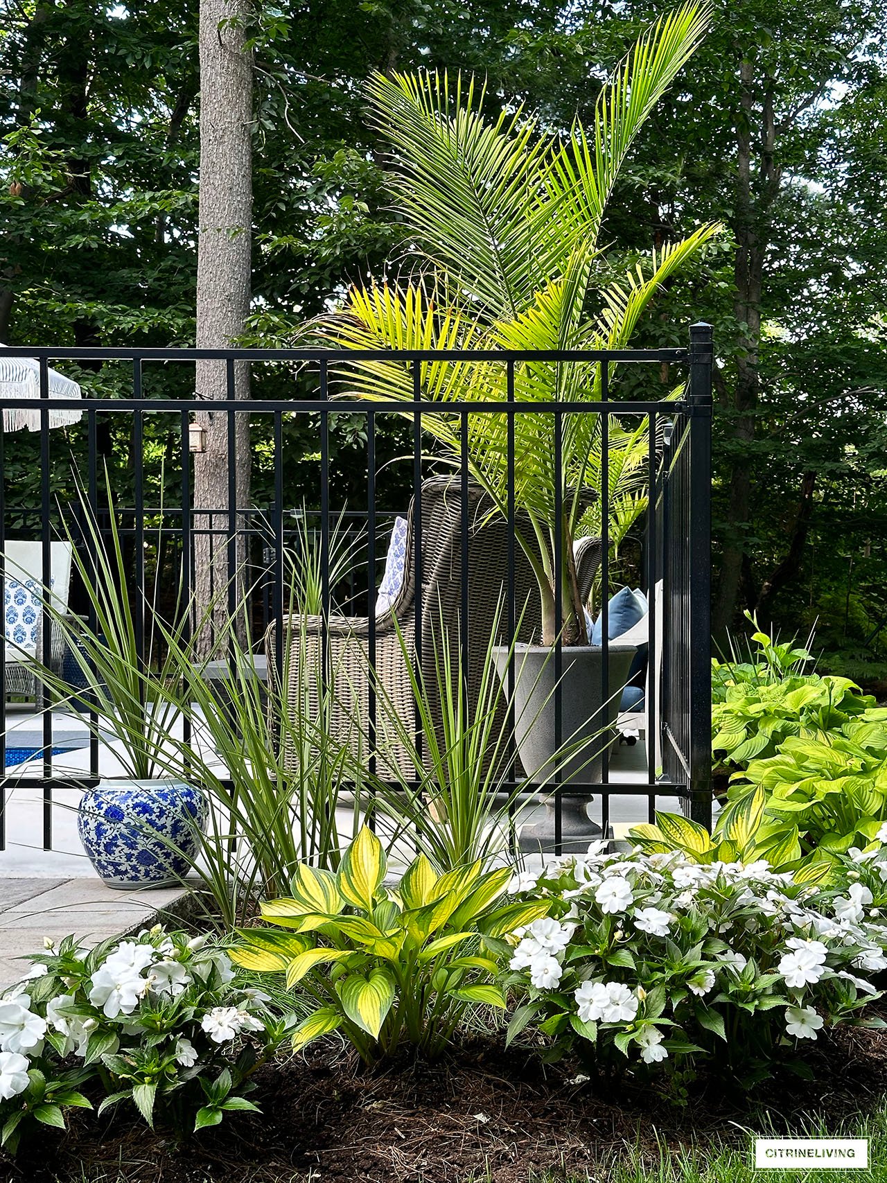 Garden featuring Hostas, New Guinea Impatiens and Spike plants