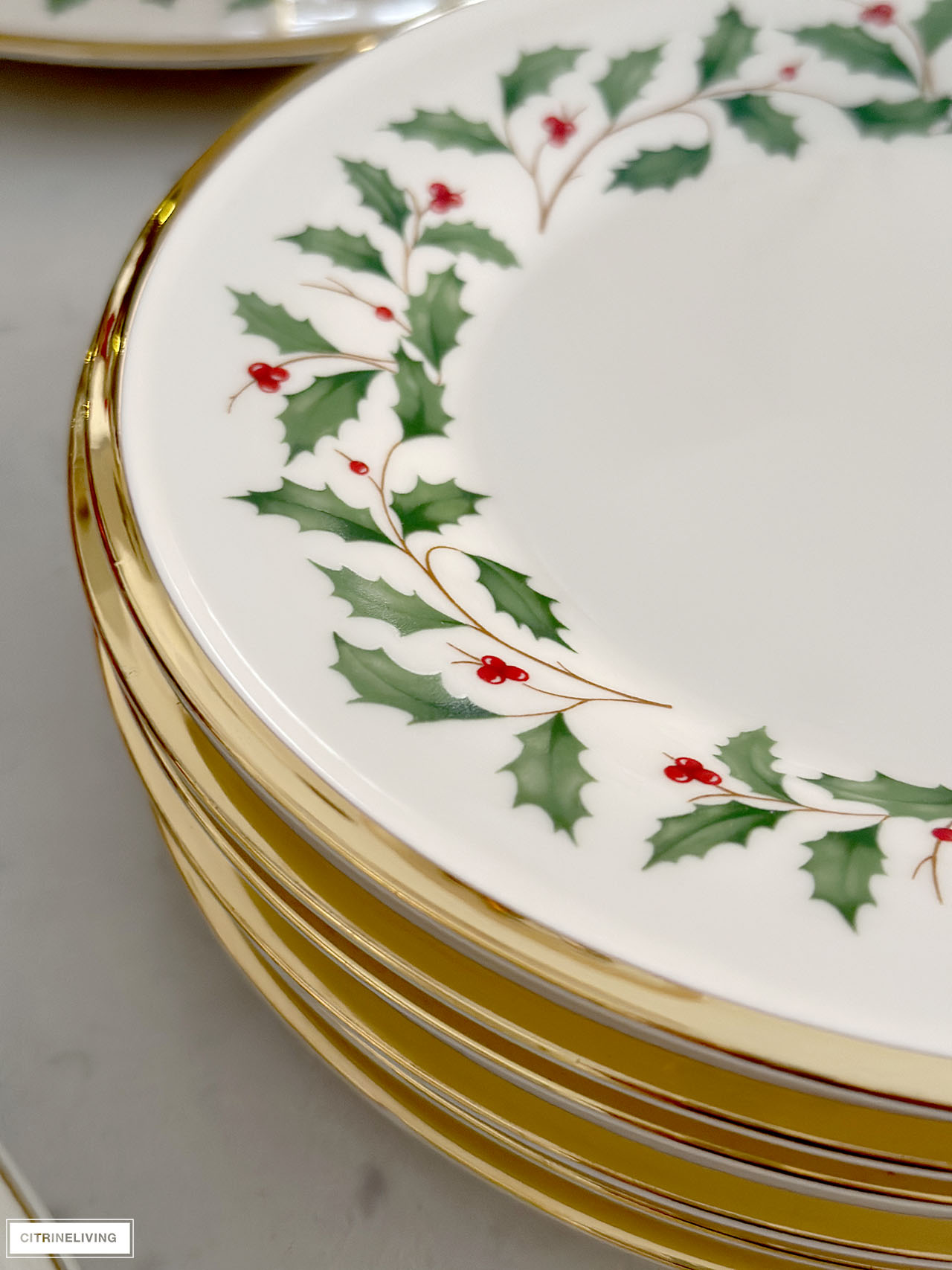 Christmas plates with holly and berry motif