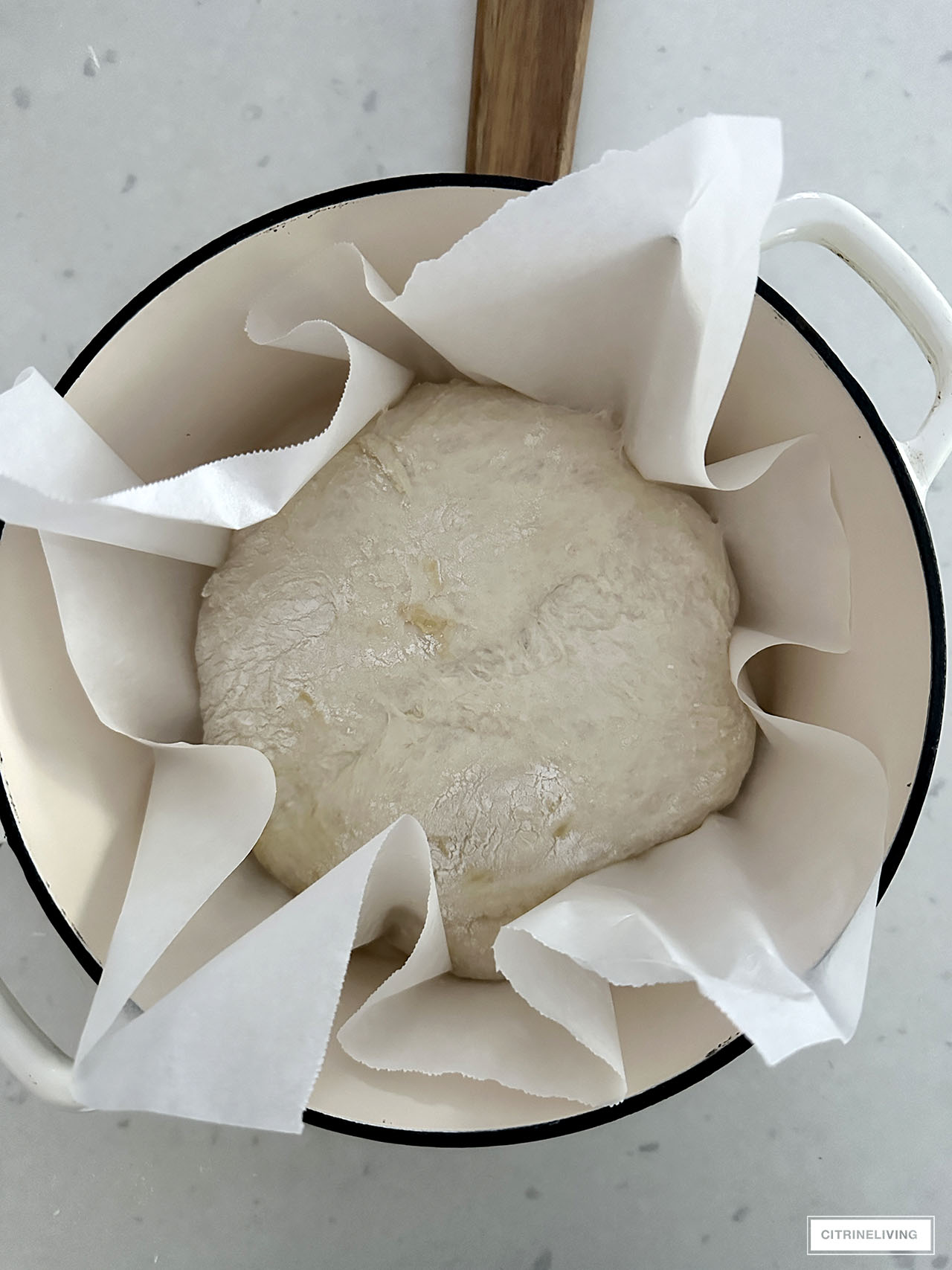 bread dough in a dutch oven