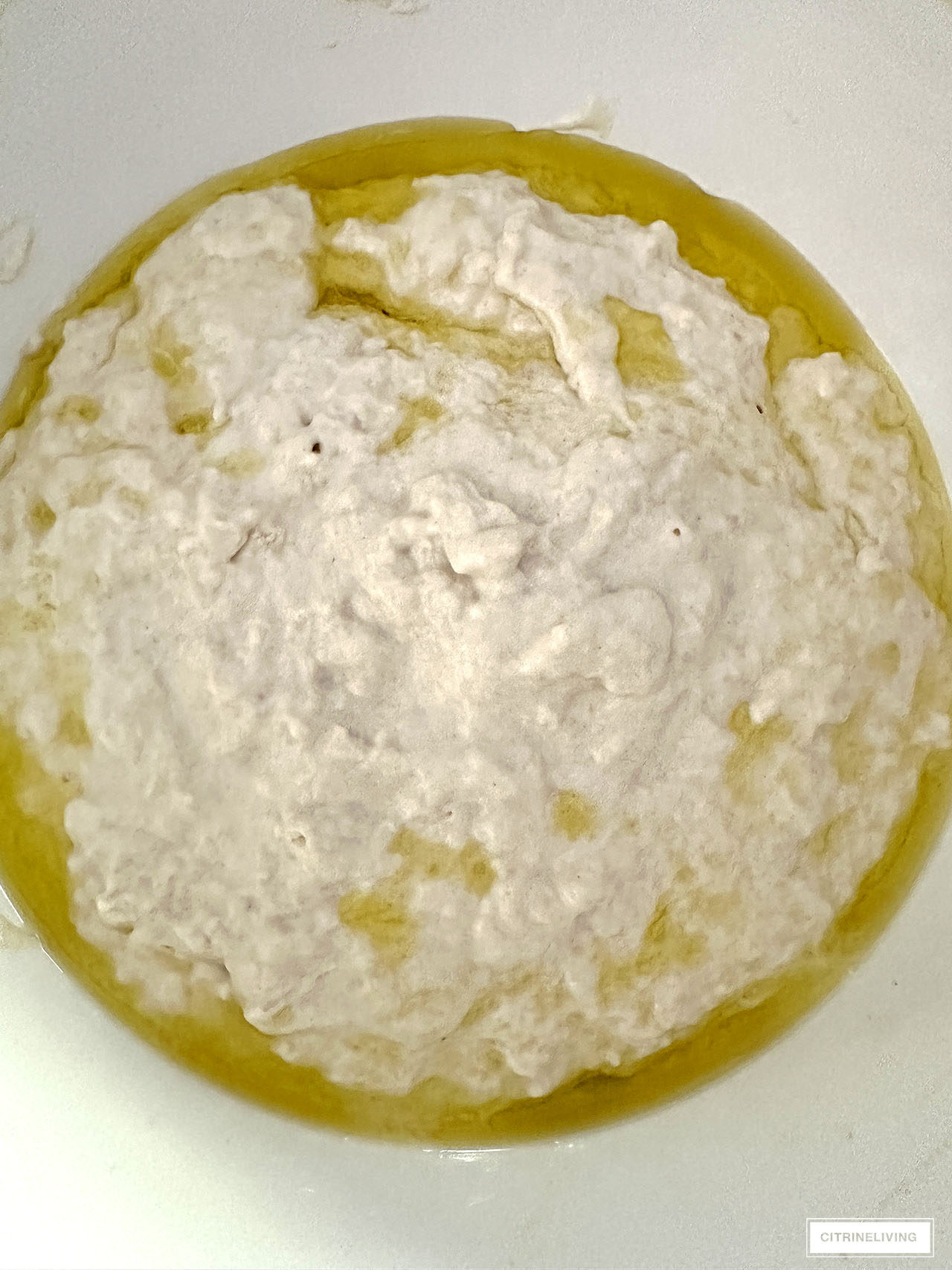 bread dough with oil in a bowl