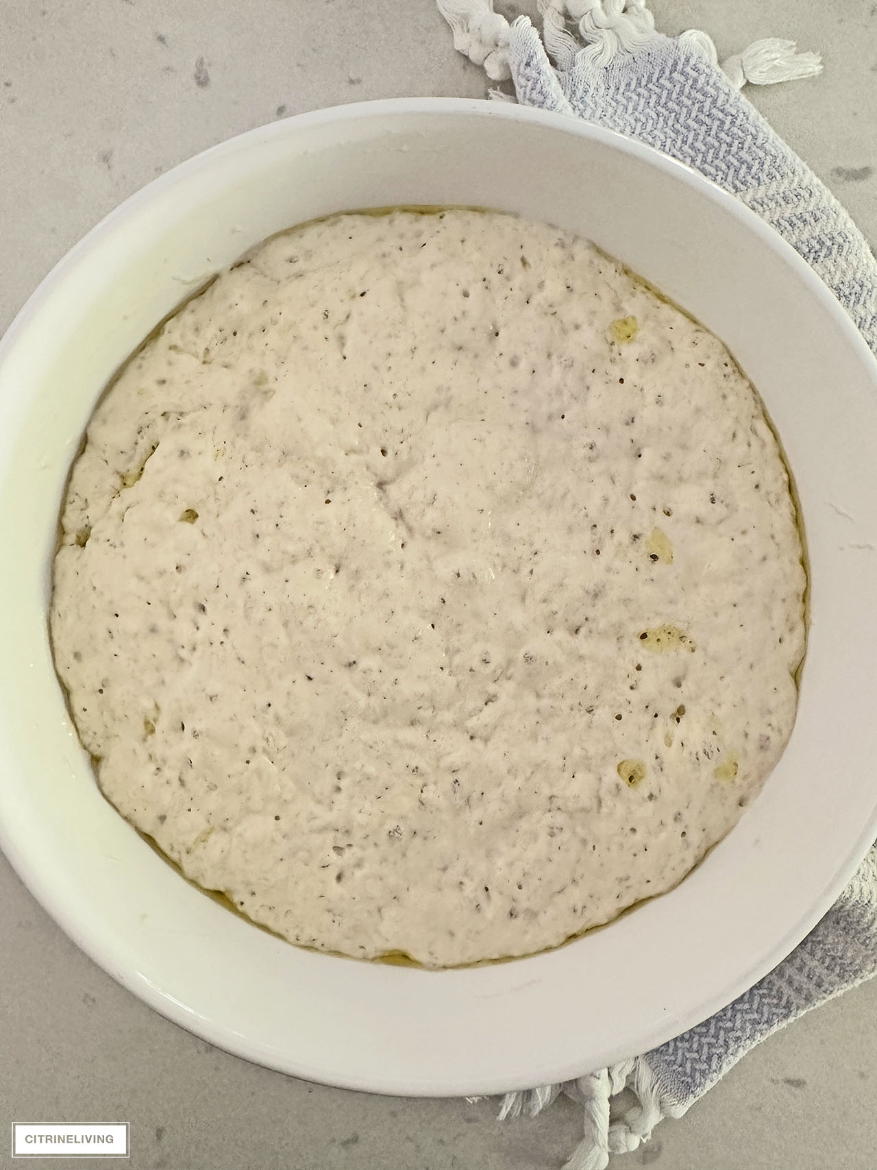 Risen bread dough